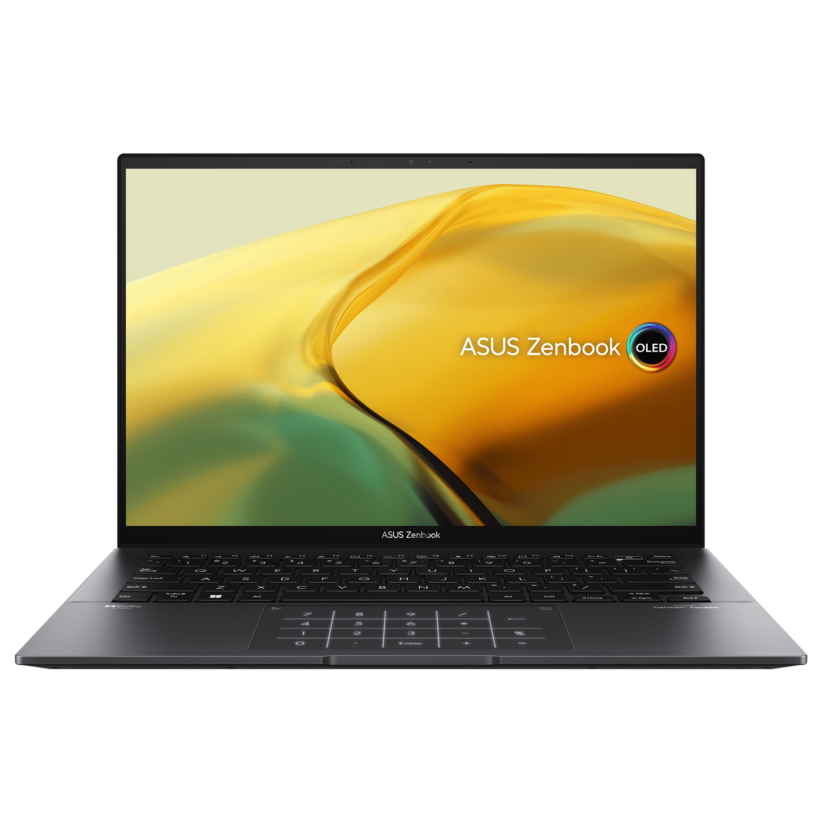 Buy Asus AMD Ryzen 7 (14 inch, 16GB, 1TB, Windows 11 Home, MS